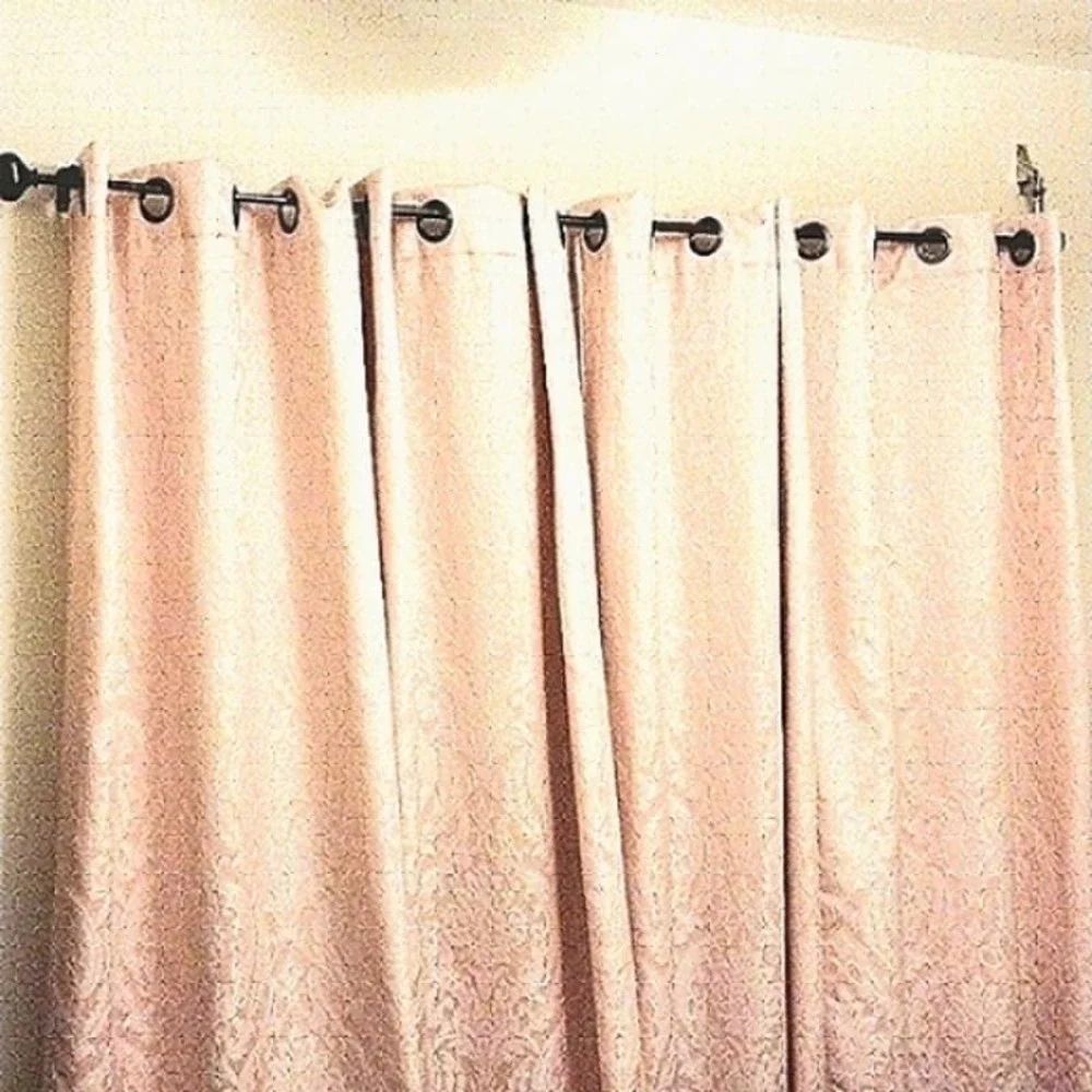 2 Drapery PANELS Brocade Baroque Curtain Soft Pink Shimmer Silver Grommet Modern